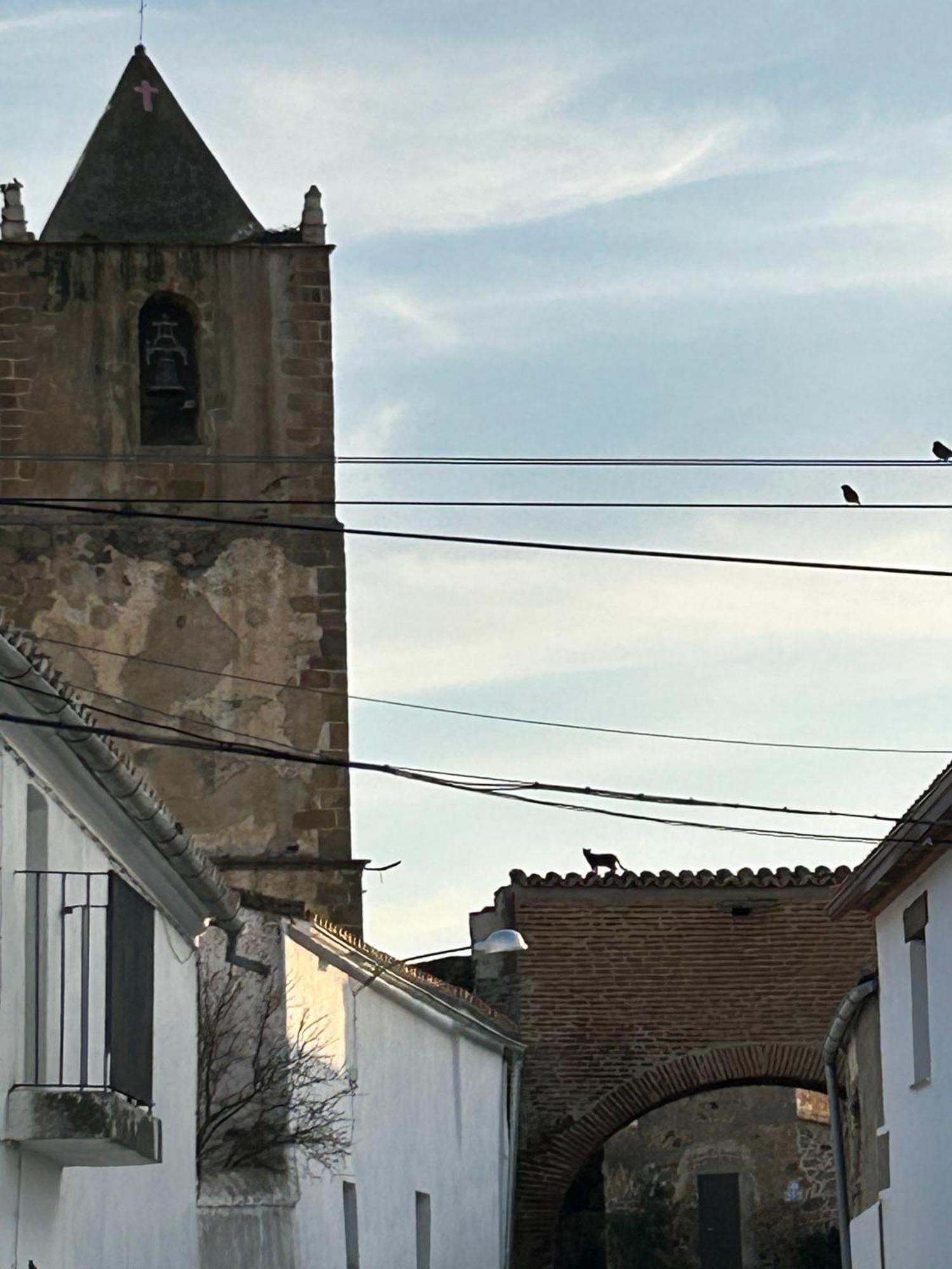 Casa Rural La Manzanilla Salvatierra de Santiago Экстерьер фото